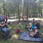 storytime group reading a book in the forest