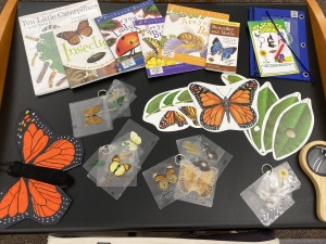 Nature-Bugs Tote Contents