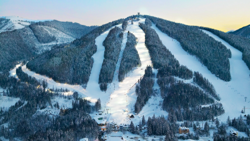 ski