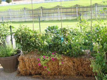 Straw Bale Gardening